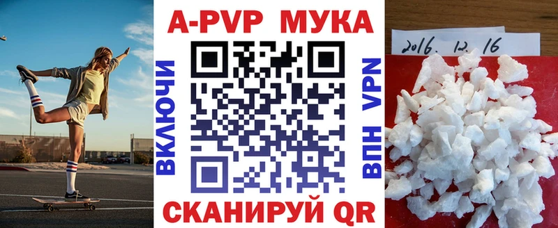 blacksprut зеркало  где найти   Железногорск-Илимский  Alfa_PVP СК КРИС 